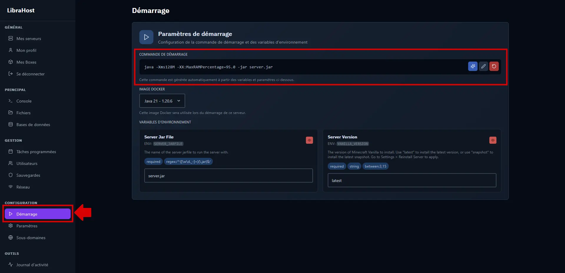 Startup tab with the startup command section visible